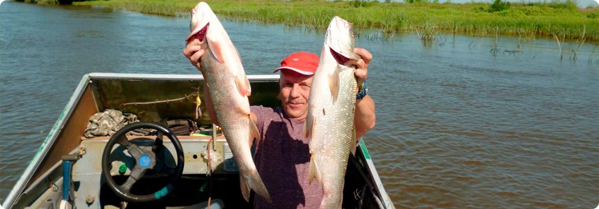 Рыба ловится в Астрахани в июле