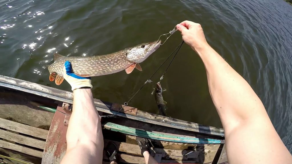 Рыбалка на щуку