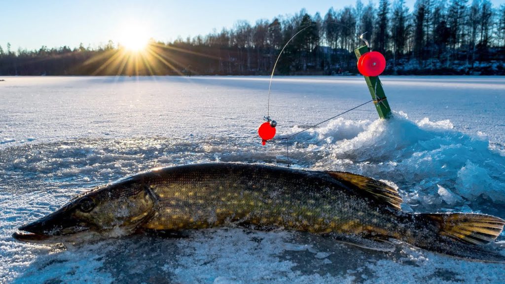 рыбалка на жерлицы зимой снасти