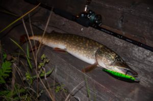 Ночная рыбалка на щуку
