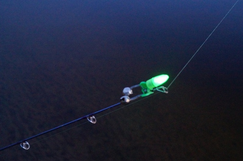 Рыболовный светлячок