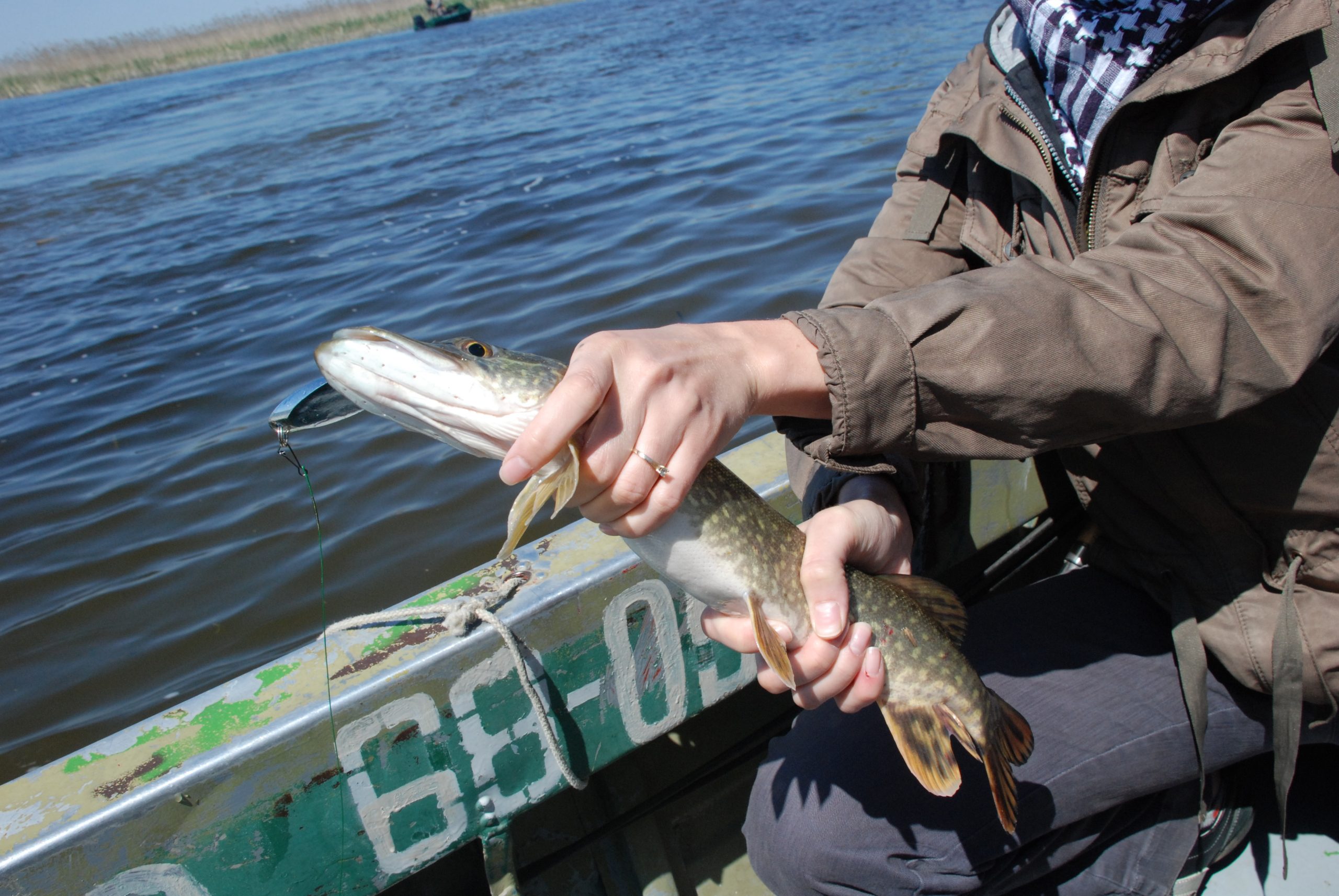 улов на рыбалке в Астрахани