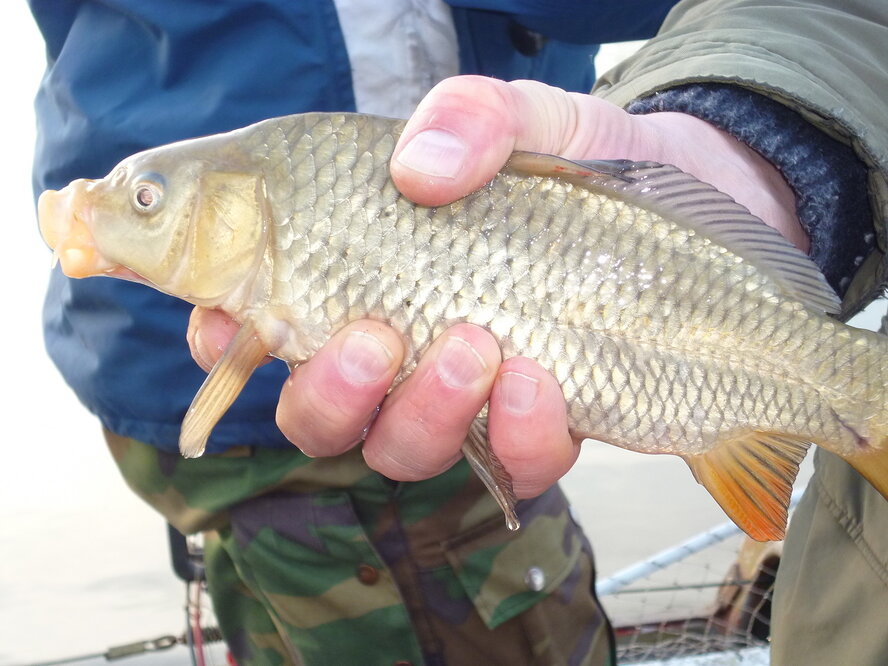 Зимняя рыбалка в Астрахани